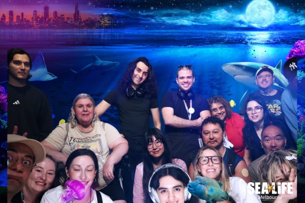 Better Health Network support group tour at Melbourne Aquarium